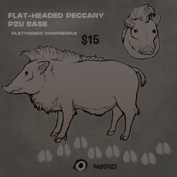 peccary peccary