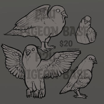 pigeon